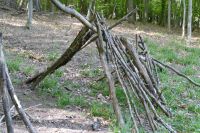 Waldtag1a-2024-9